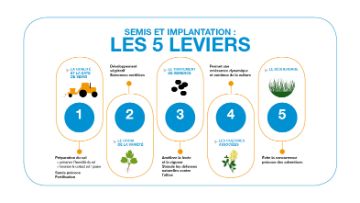 reussir son implantation colza